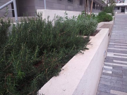 גן תבלינים על חניון, שכונת שפירא - דיור בר השגה, תל אביב - 350 מ"ר